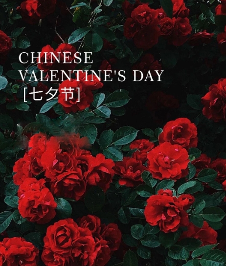 微信截圖_20240823144611.jpg 微信截圖_20240823144611.jpg